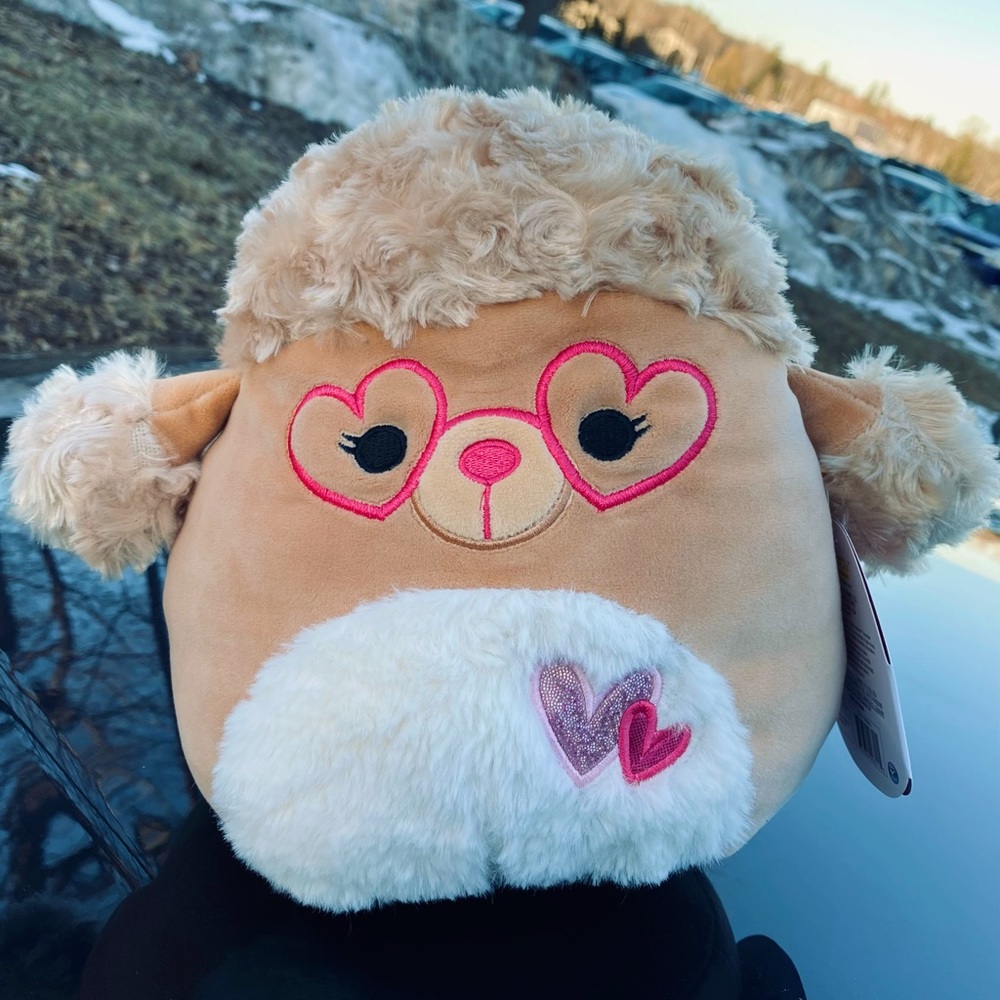 (OBO) Squishmallows Jacinda The Brown Poodle 8” With Tags